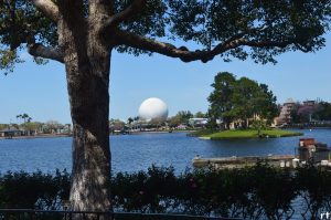 17 Things to Do at Disney World