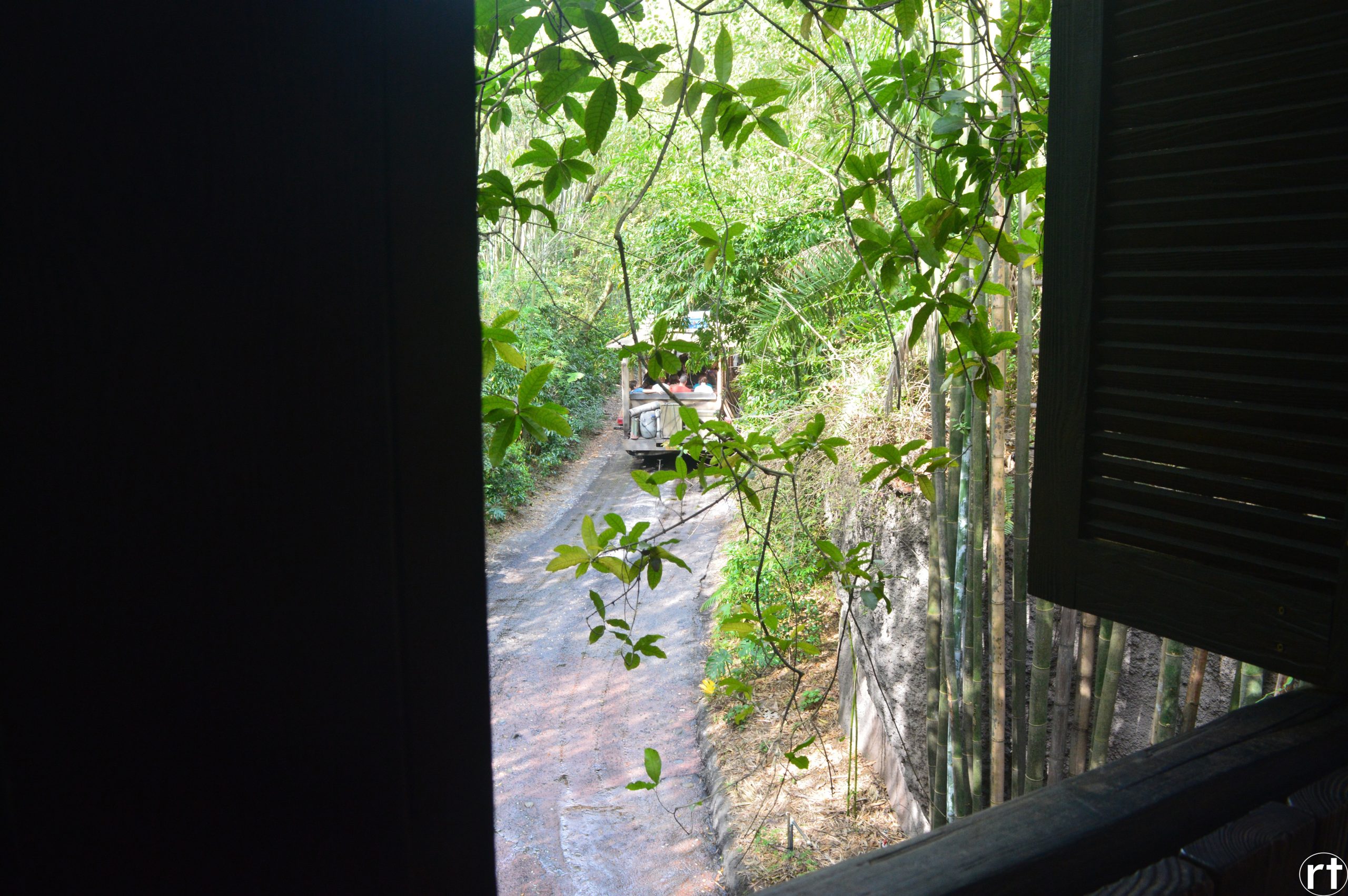 Kilamanjaro Safari Disney 2