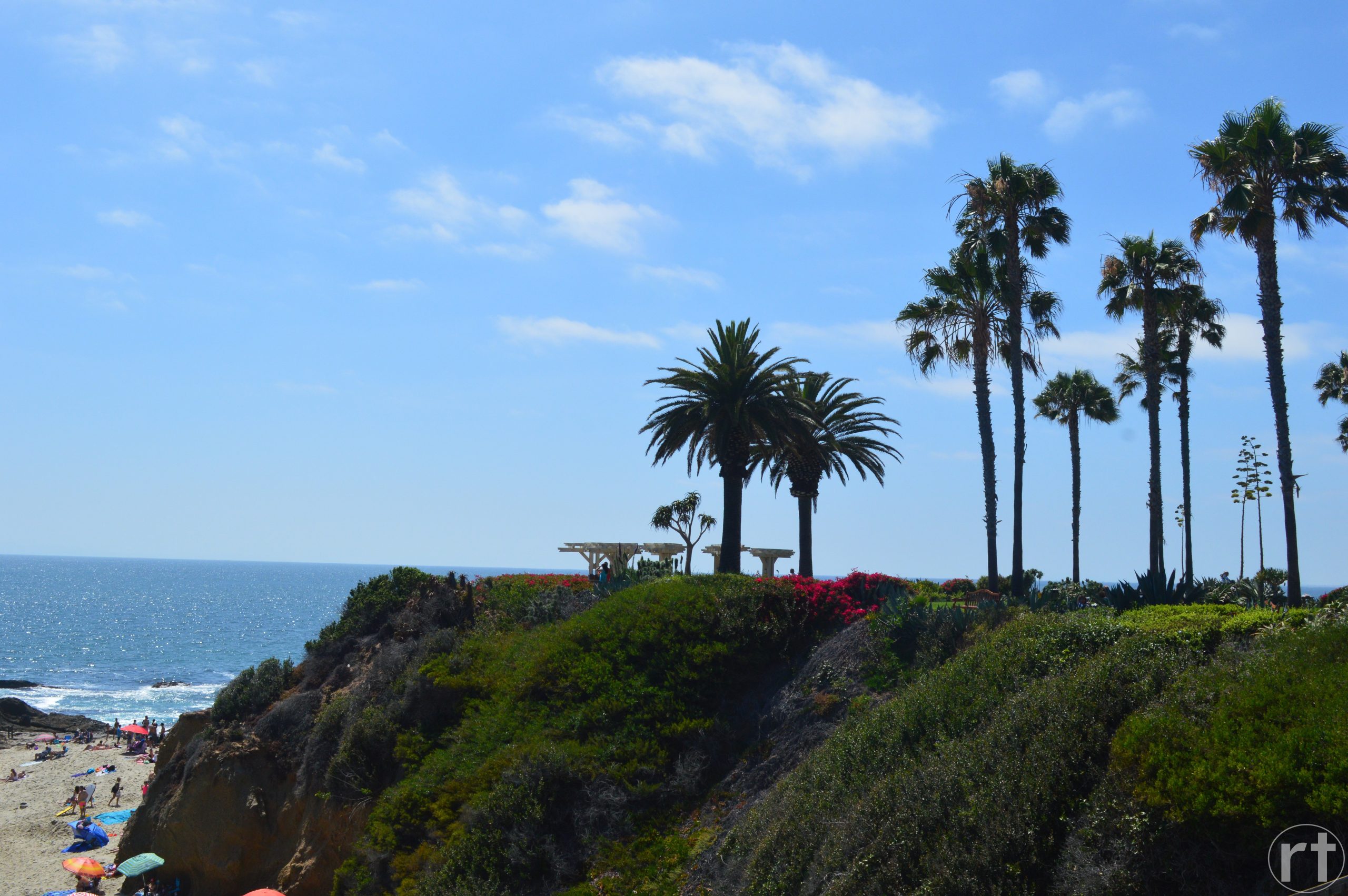 Laguna Beach Los Angeles California Palms Trees
