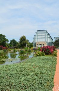 A Classy Afternoon in St. Louis