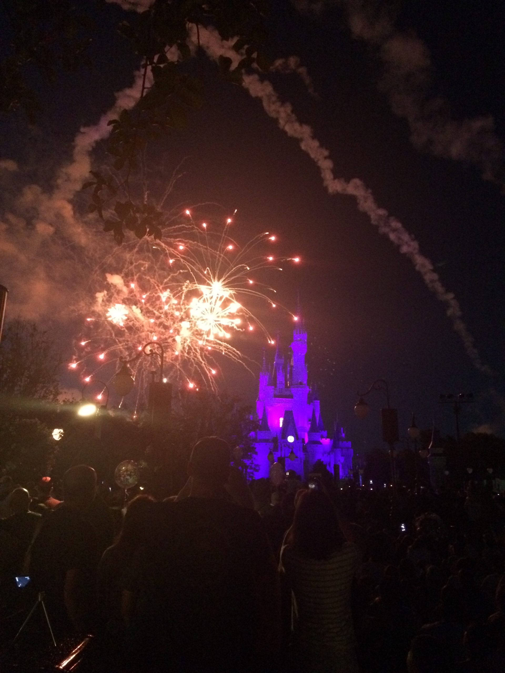 Magic Kingdom Disney Fireworks