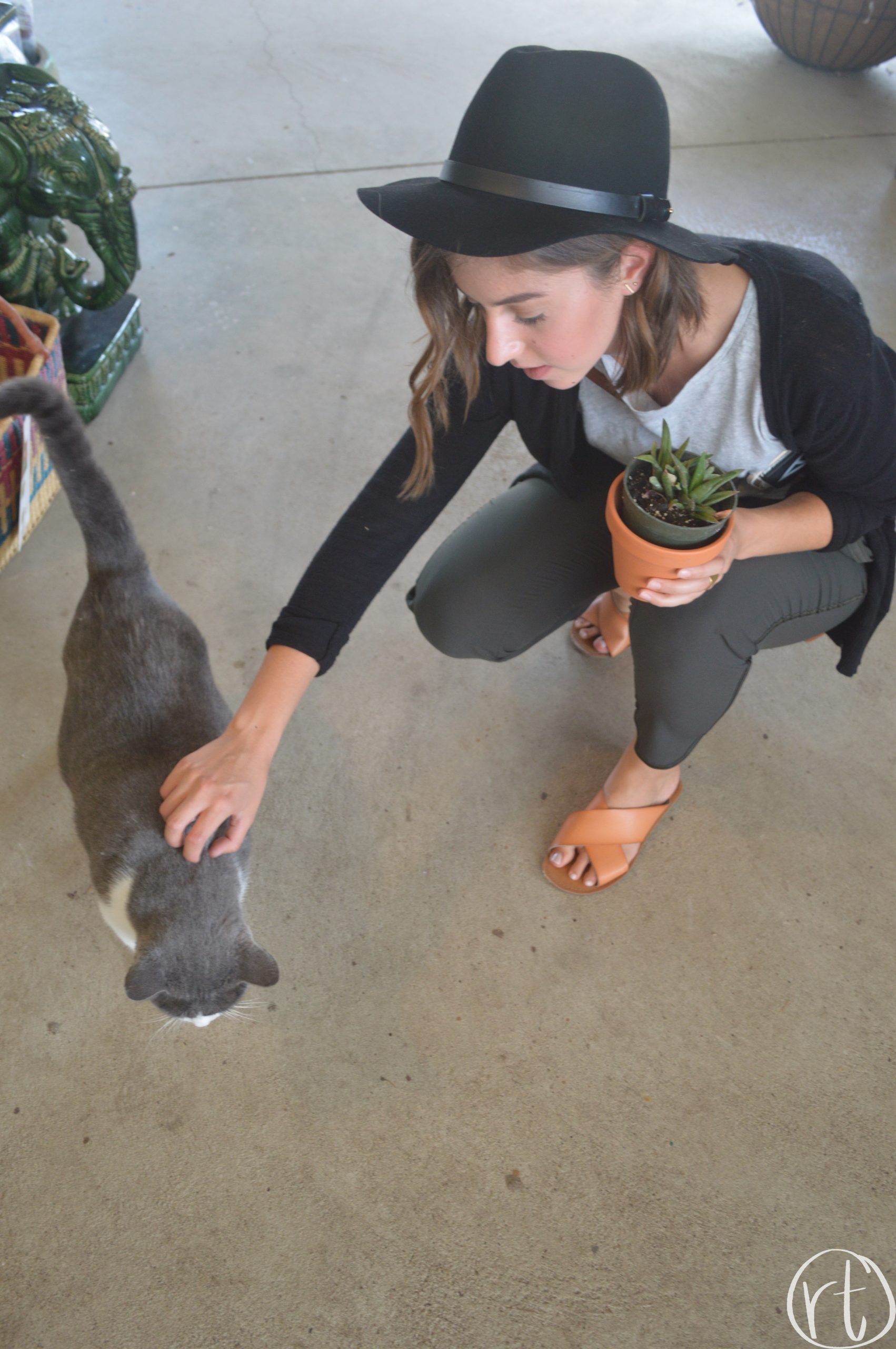 Helmi's Gardens Columbia MO Cat