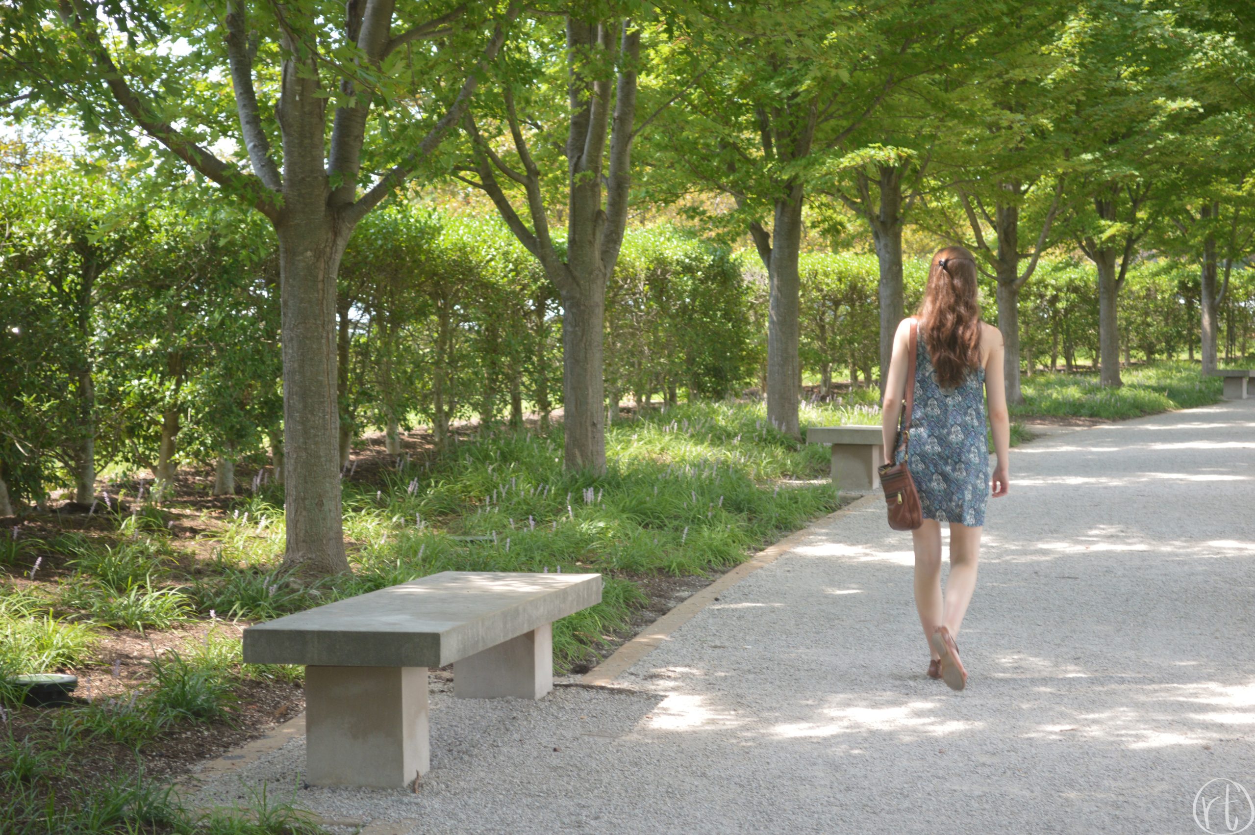 forest-park-st-louis-art-museum-travel