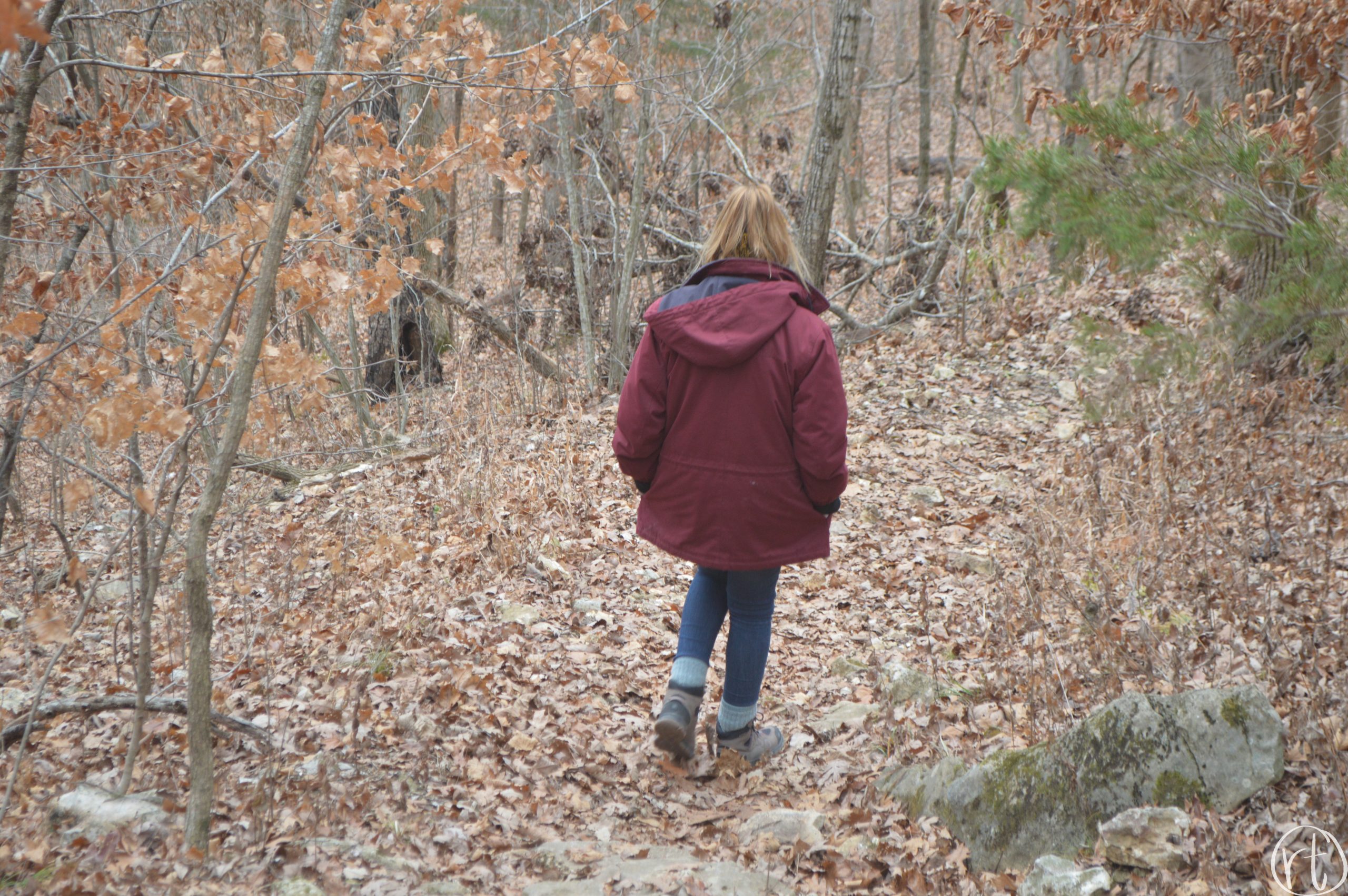 pinnacles-hike-fall-columbia-missouri-round-trip-travel