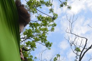 9 Things to Do in Waco, Texas