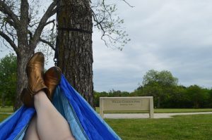 My Summer Bucket List (+Free Template)