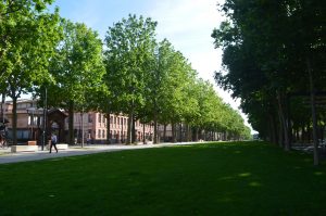 Photo Diary: Toulouse, France