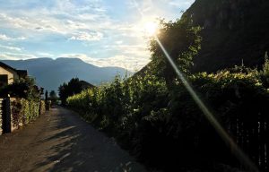 Inside the Life of an Au Pair in Europe