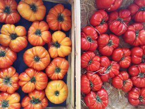 A Step-by-Step Guide to Grocery Shopping Abroad