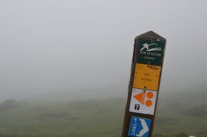 5 Ways to Fight Homesickness