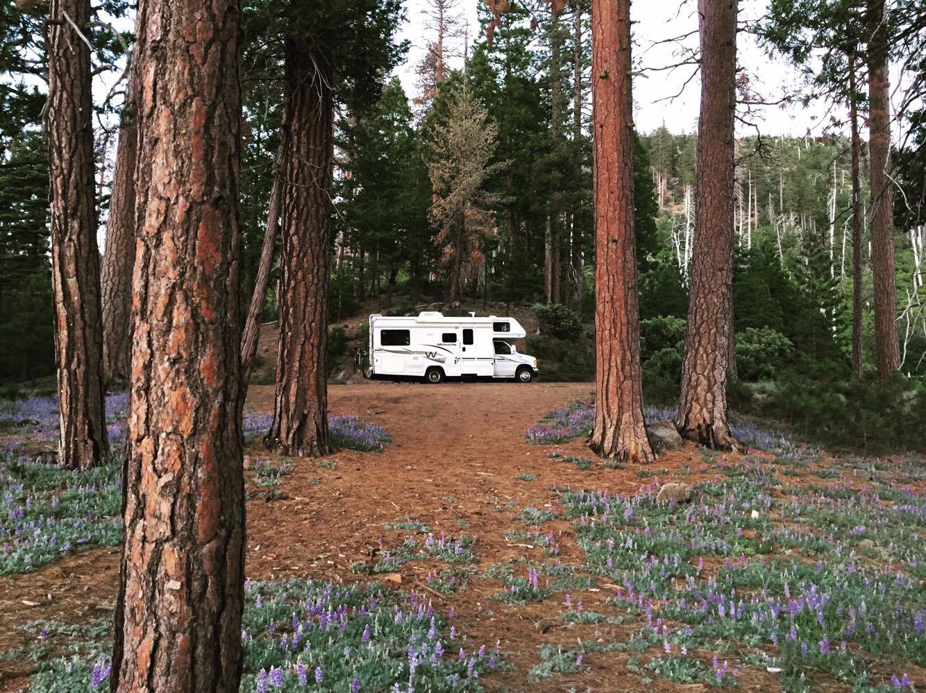 RV West Coast Road Trip Motorhome Woods Forest Travel