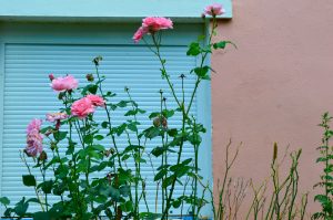 16 Things They Don’t Teach You in French Class