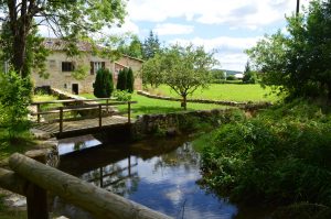 7 Ways to Practice Self-Care in Quarantine