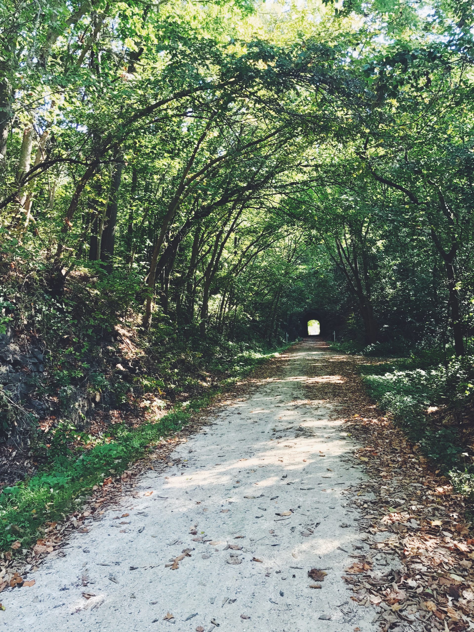 Processed with VSCO with f2 preset