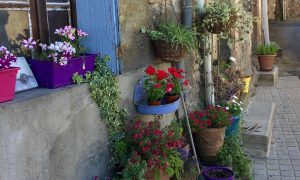 5 Travel Bloggers I Love