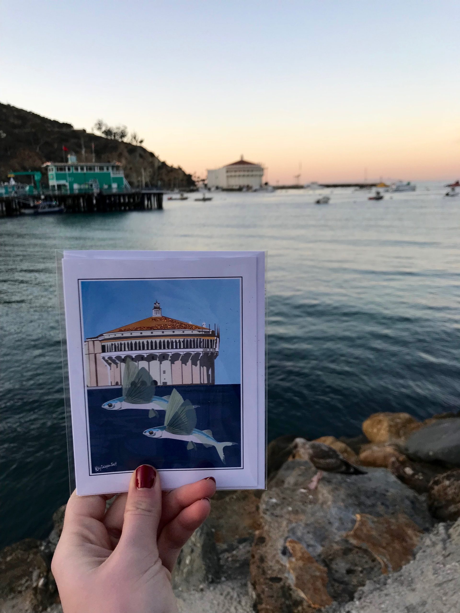 Catalina Island Casino Postcard Ocean