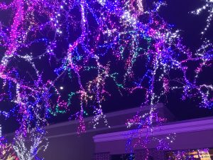 Round Trip Roundup: DECEMBER