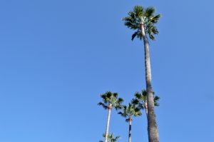 When Your Year Wasn’t What You’d Hoped For