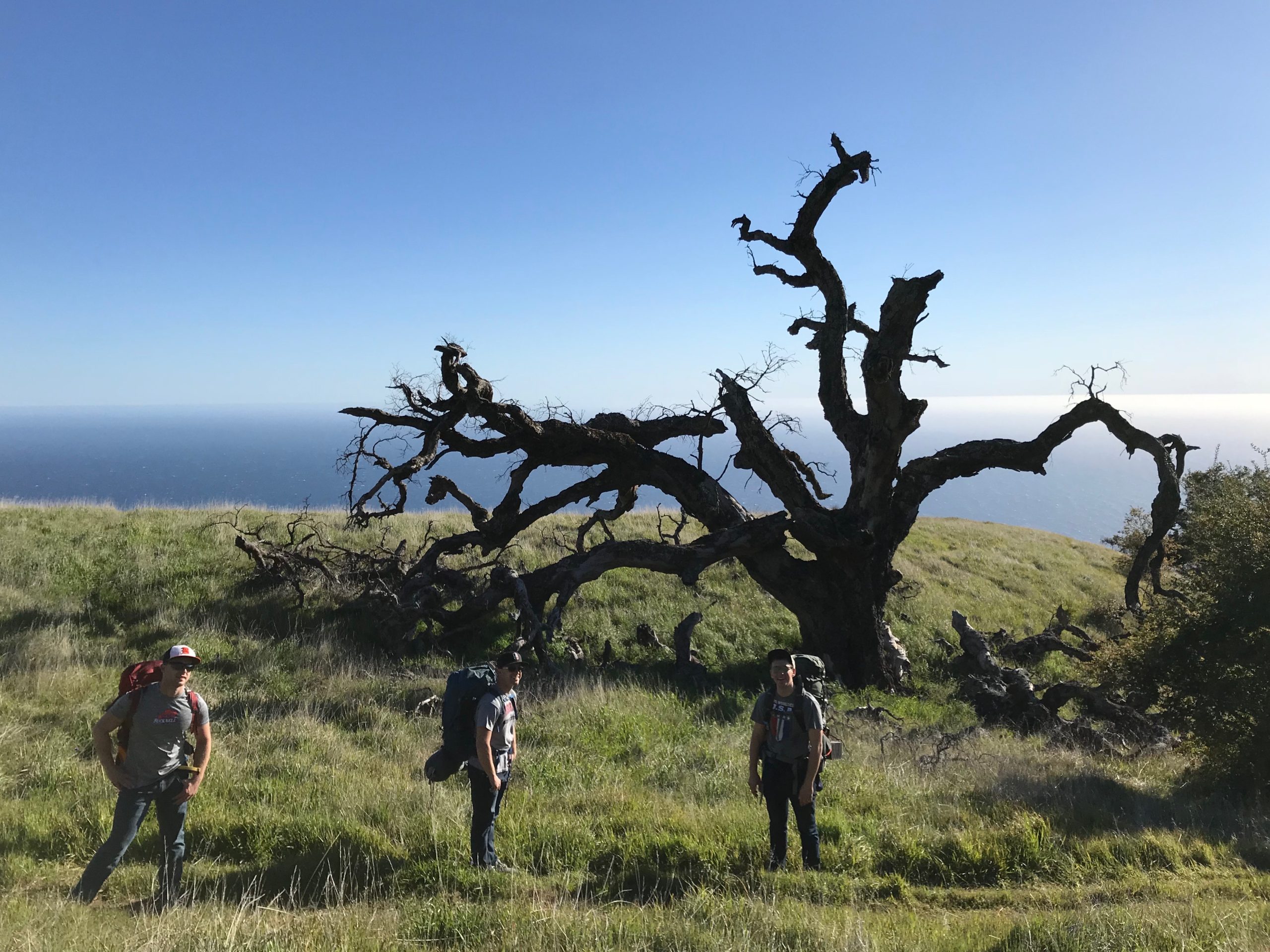 Big Sur California Travel
