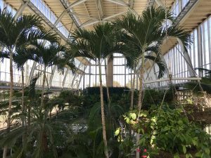 Photo Diary: Girls’ Weekend in STL