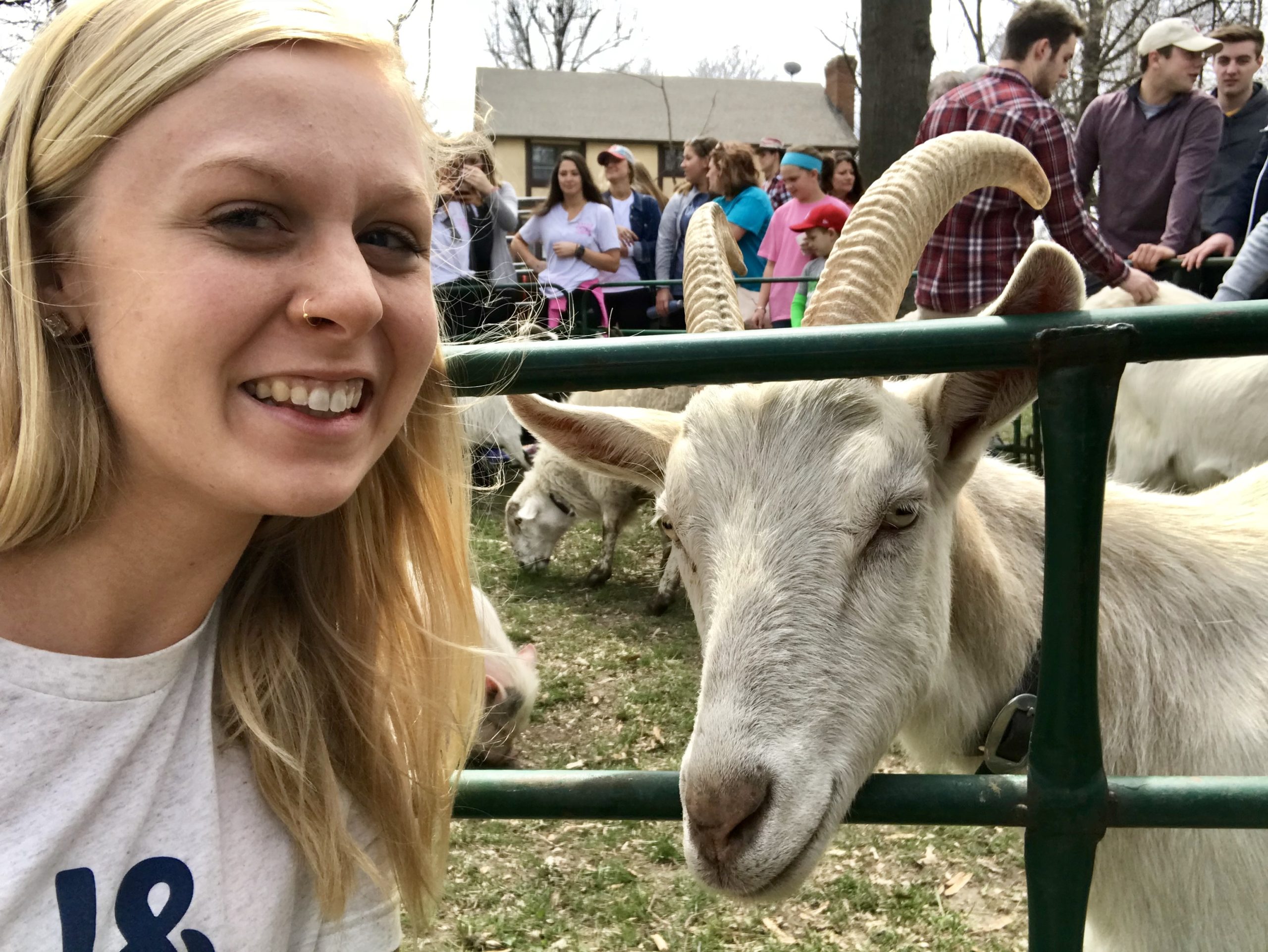 Petting Zoo April Roundup Round Trip