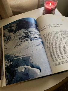 Round Trip Roundup: JUNE