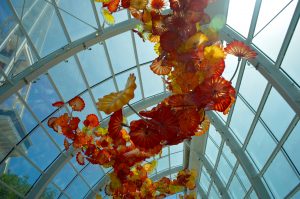 Photo Diary: Chihuly Museum in Seattle