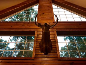 Round Trip Roundup: JULY