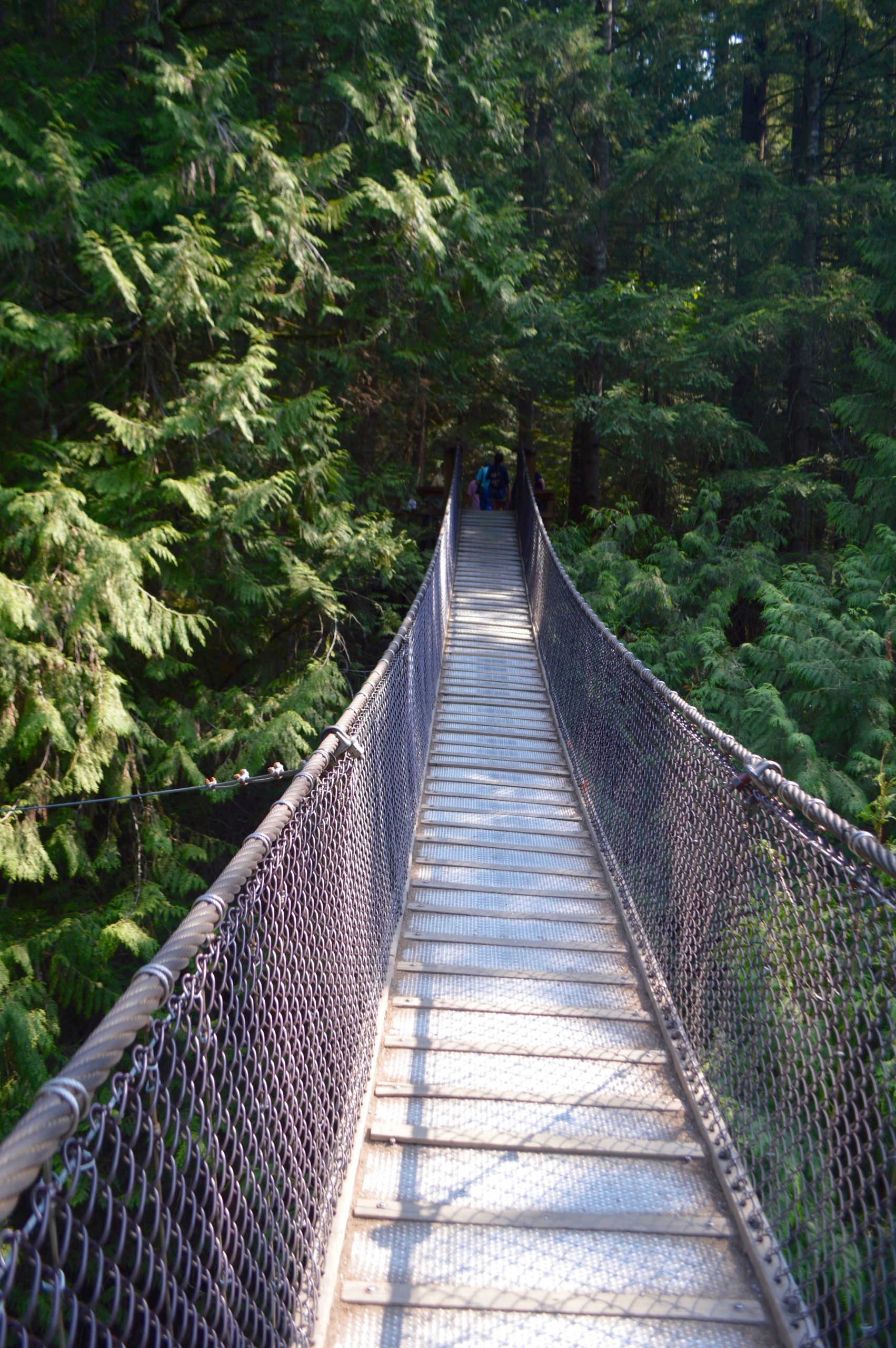 Lynn Canyon Park North Vancouver Canada