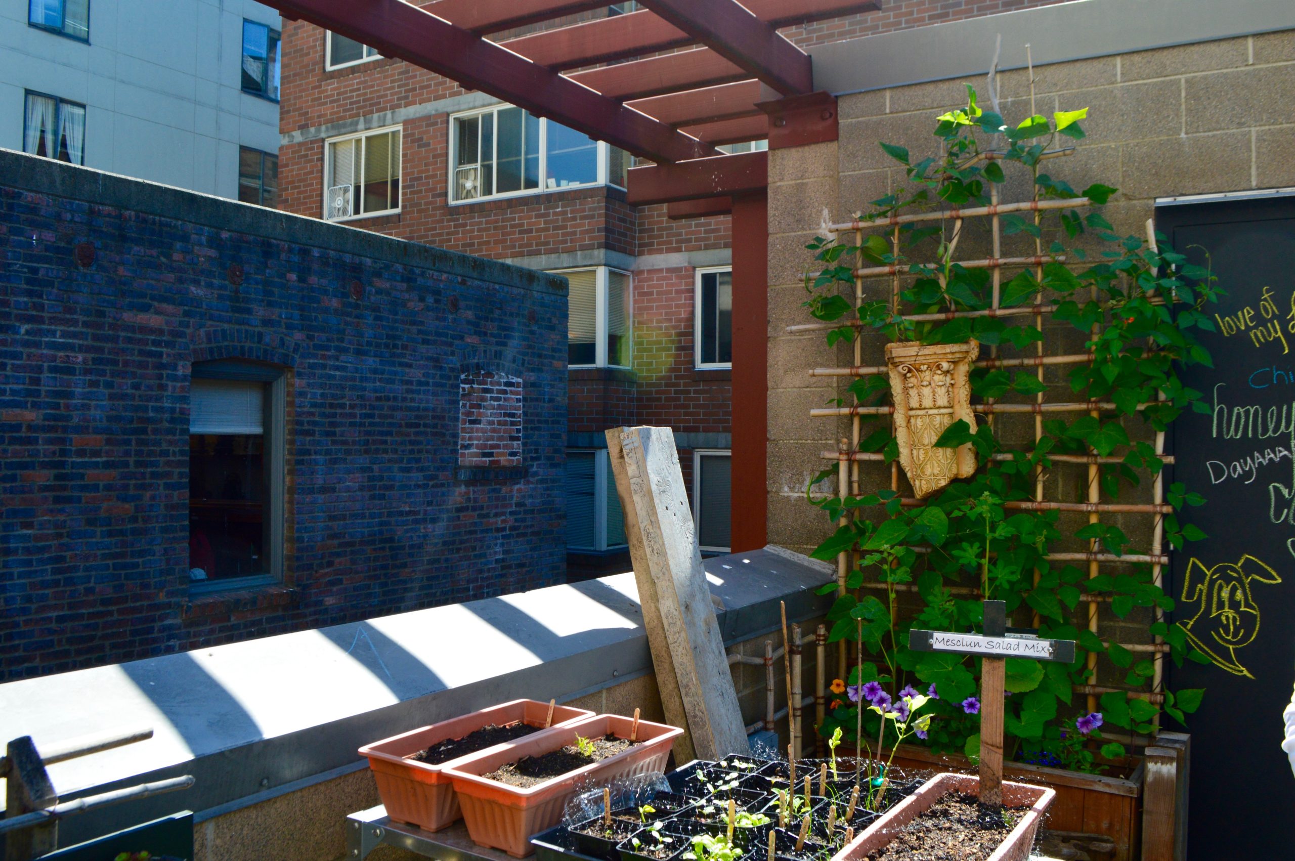 Pike Place Market Garden Seattle