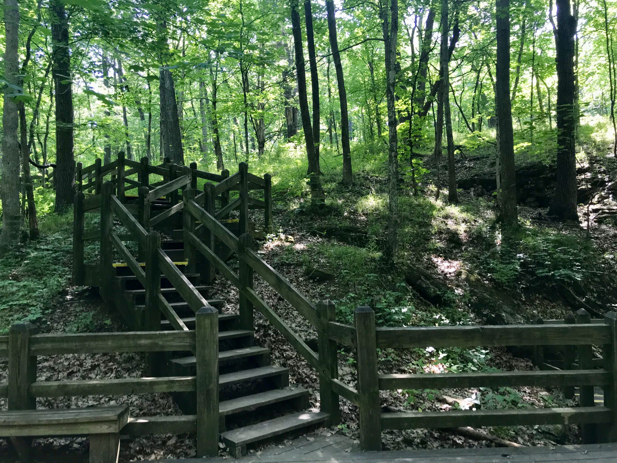 Rock Bridge State Park Missouri