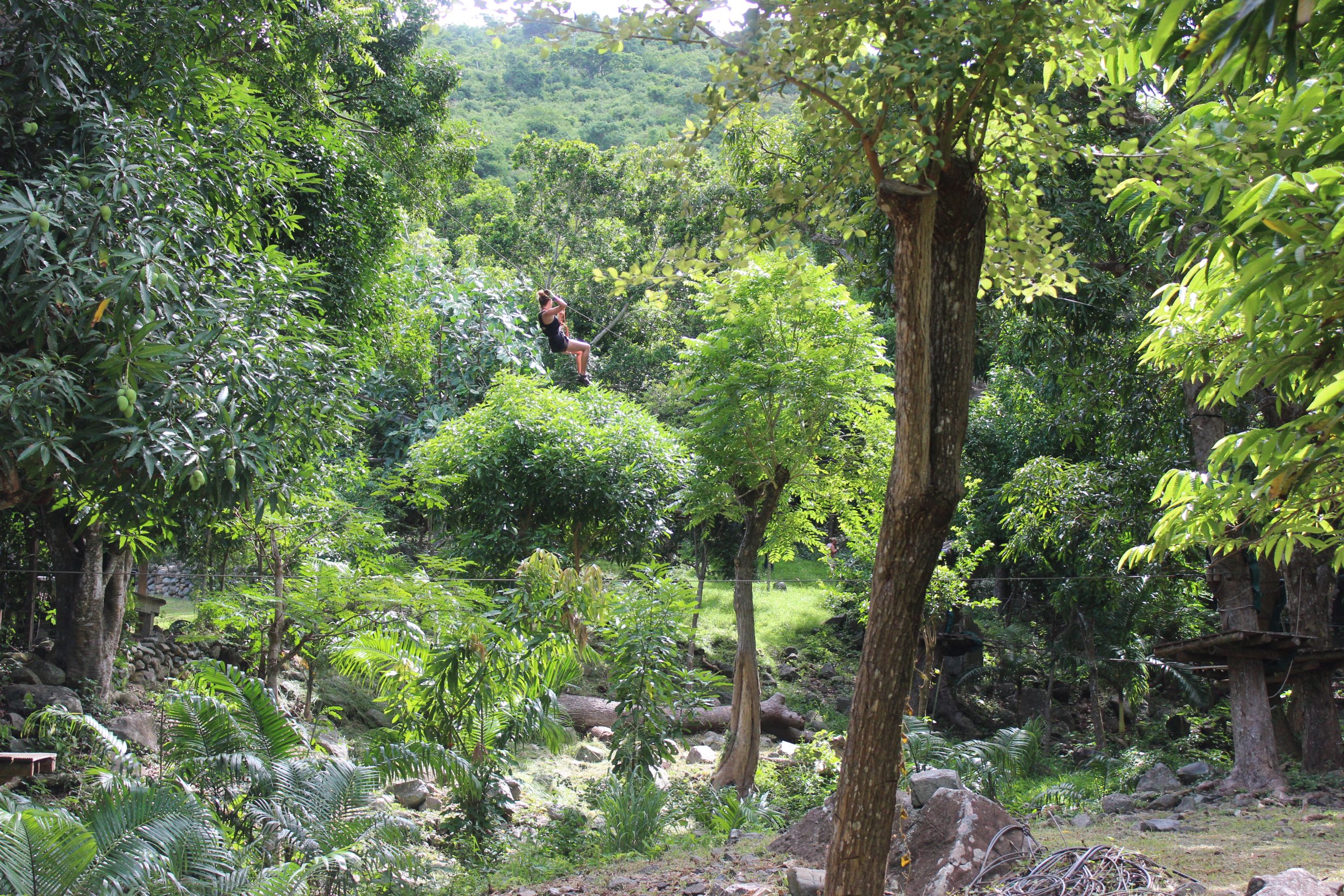 St Martin Island Zipline