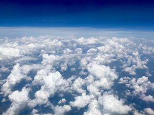 Flight, not Fight: An Essay on Fear