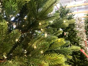 Round Trip Roundup: NOVEMBER