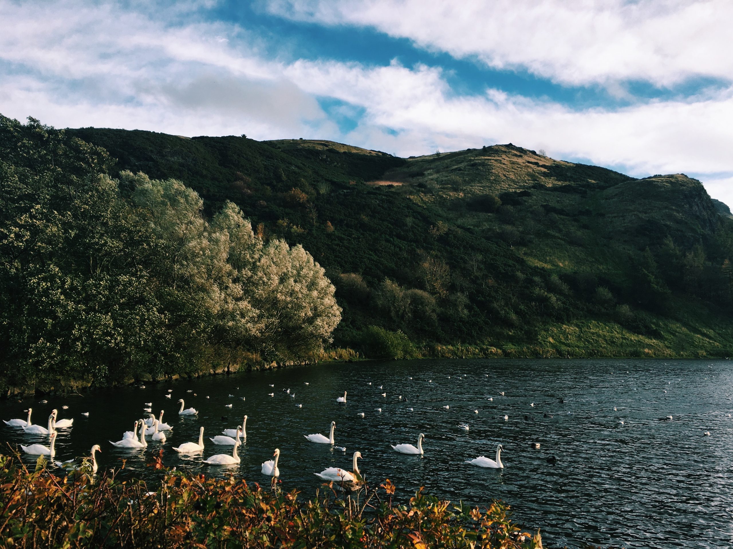 Processed with VSCO with c1 preset