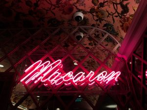 6 SEO Tips for Bloggers