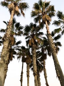 QUIZ: Where Should You Travel This Summer?