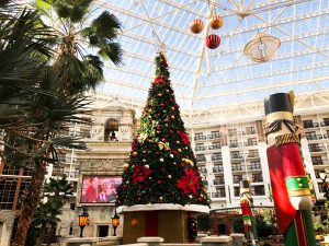 The Ultimate Guide to ICE! at Gaylord Texan