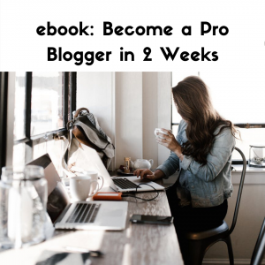Ebook: Become a Pro Blogger in 2 Weeks