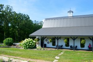 Our Day Trip to Long Row Lavender Farm