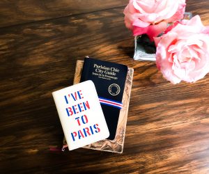 How I Applied for My TAPIF Visa to France