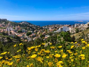 How to Teach English Abroad in France