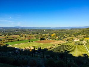 Idyllic Provence Road Trip in Vaucluse, France