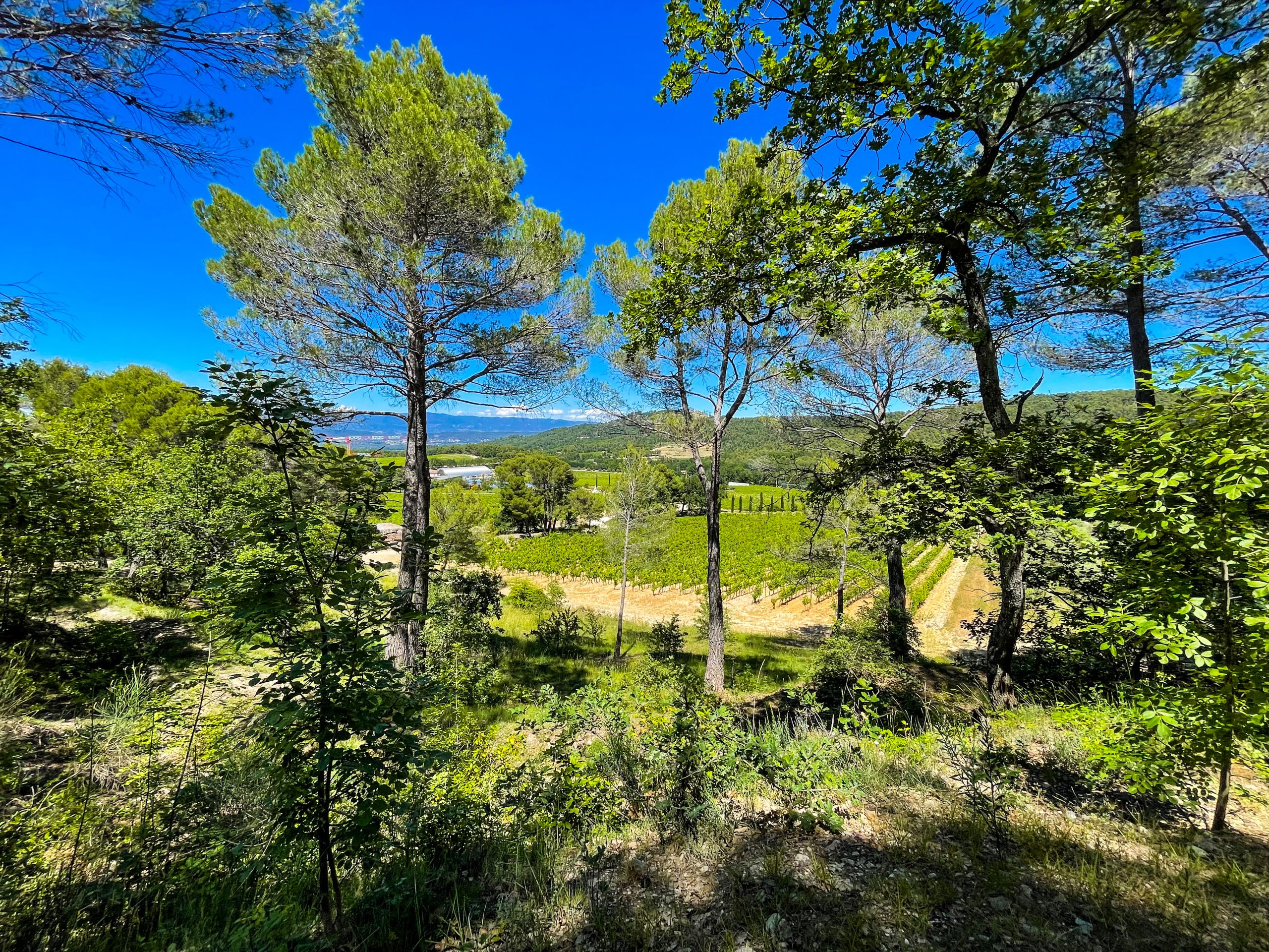 Reflections on Five Years in France